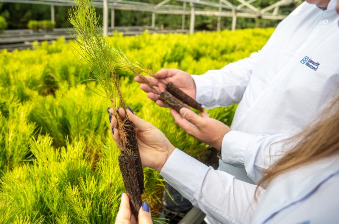 How Sustainable Packaging Materials Drive a Circular Future
