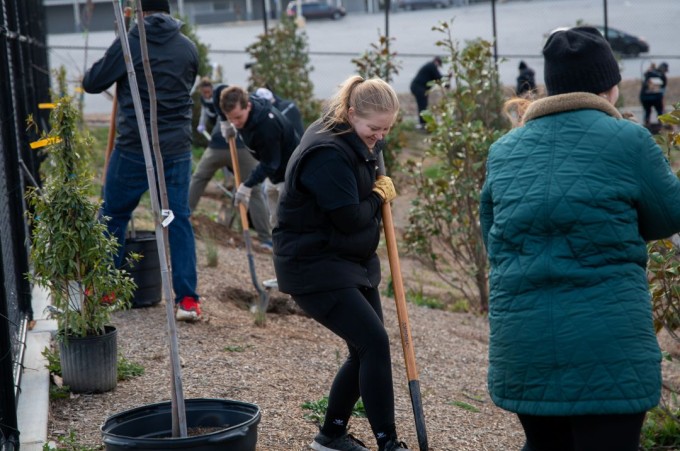 Smurfit Westrock tree planting
