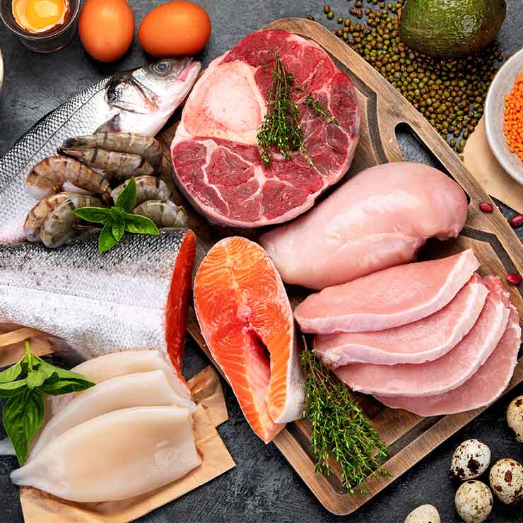 meat packaging solutions