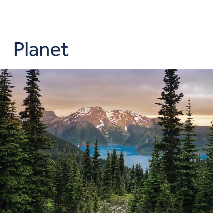 Sustainability report 2024 planet
