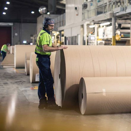 paper reels