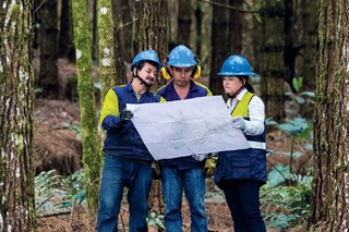 Forestry-workers