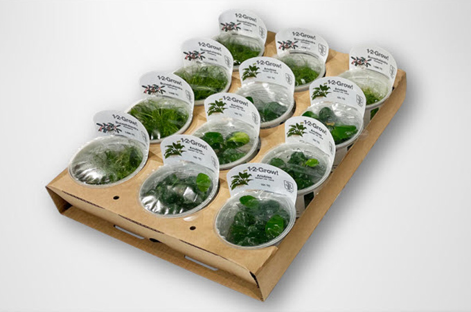 Award winning plant trays for Tropica