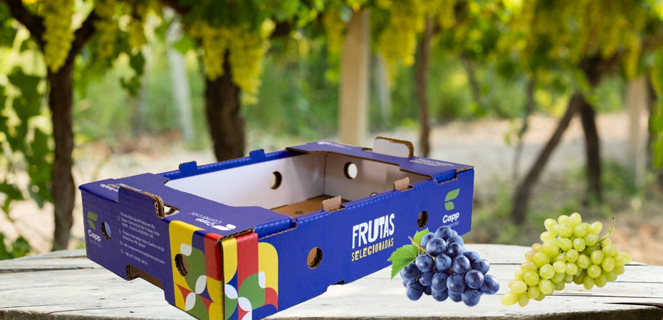 Cappellaro Grapes